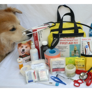 "Dog On-The-Go" Ultimate Hiking & Travel First-Aid Kit