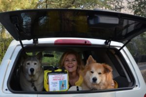 Pet First Aid Kits
