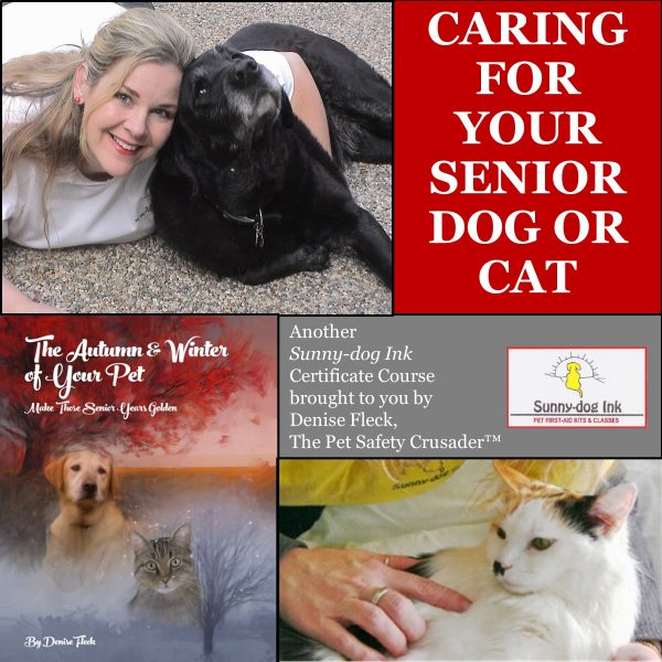 http://www.petsafetycrusader.com/shop/classes/senior-pet-care-course-for-dog-cat-parents-caregivers/