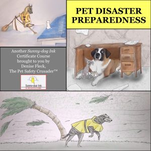 http://www.petsafetycrusader.com/shop/classes/pet-disaster-preparedness-certificate-program/
