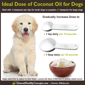 will vegetable oil hurt my dog
