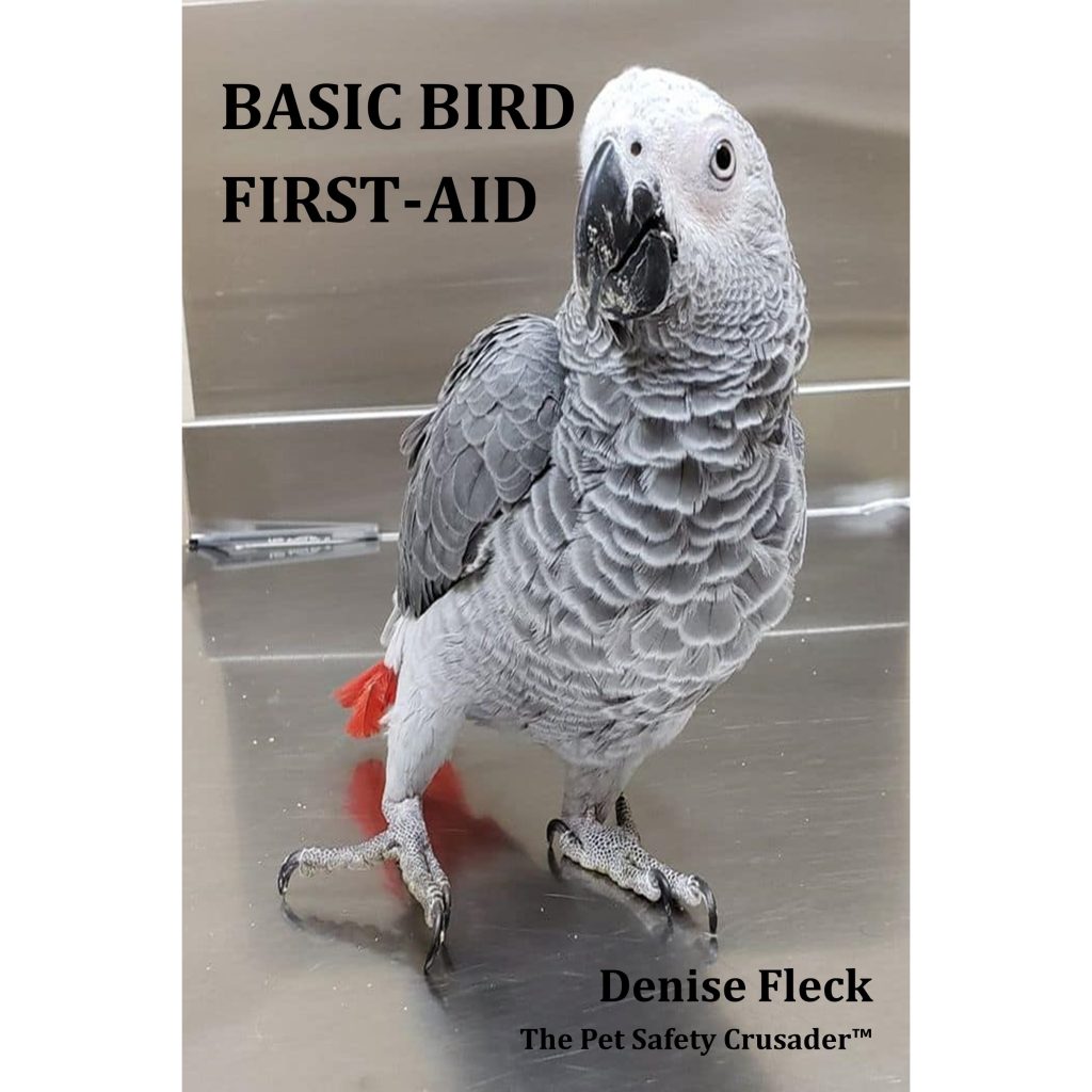 BASIC BIRD FIRST AID