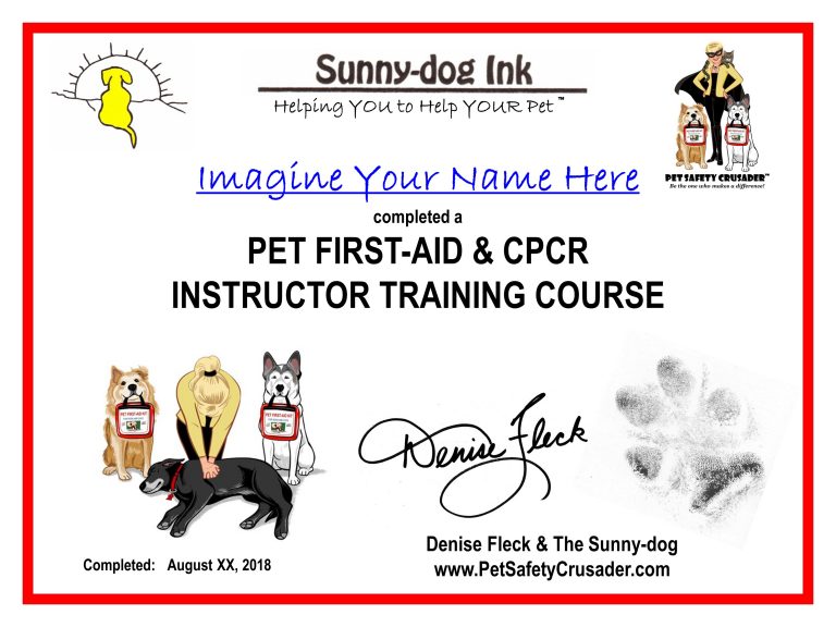 Pet First Aid INSTRUCTOR Training Pet Safety Crusader