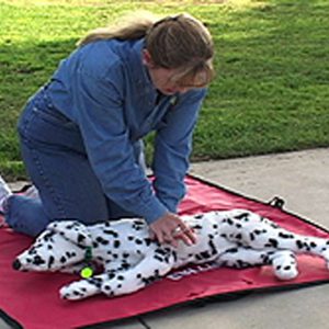 Instructor Denise Fleck demonstrates CPR on a Canine Mannekin