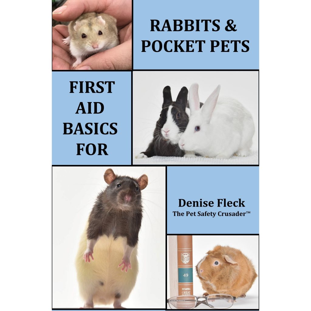 FIRST AID BASICS FOR RABBITS & POCKET PETS