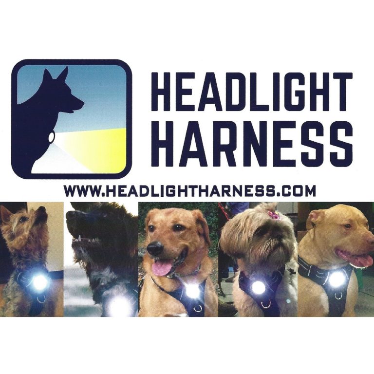 Headlight Harness Pet Safety Crusader