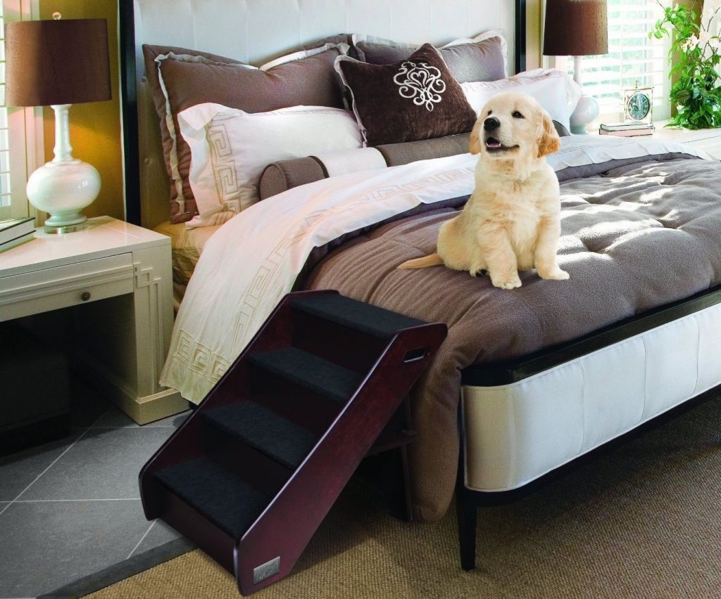 Things to Consider Before Buying Pet Stairs for Beds and Other Places