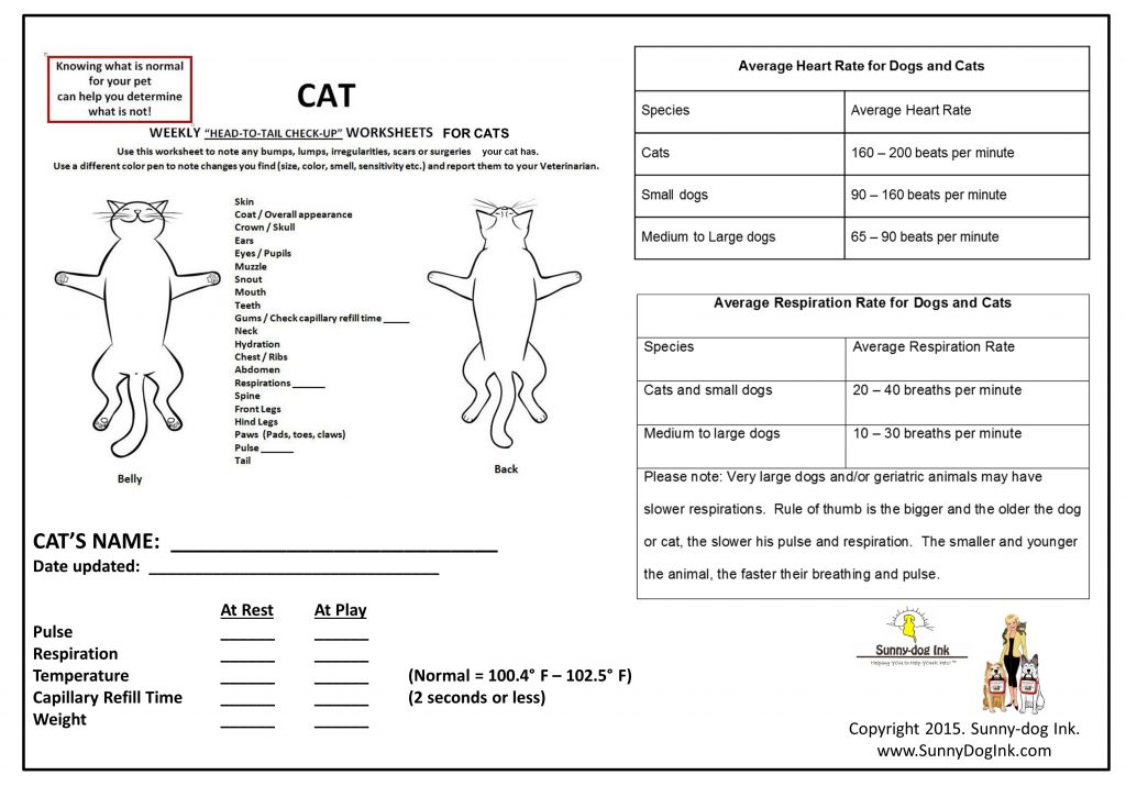 Cats worksheets