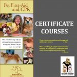 PET FIRST AID (Dog & Cat) CERTIFICATE COURSES