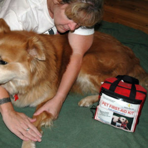 Stretch Out and Check Legs