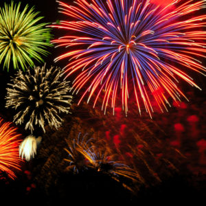 Pet Safety Fourth of July