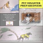 PET DISASTER PREPAREDNESS CERTIFICATE COURSE