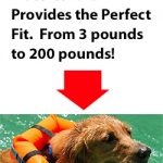 PRODUCT SHARE:  HedzUp Water Collar