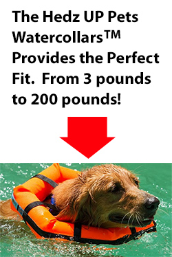 PRODUCT SHARE:  HedzUp Water Collar