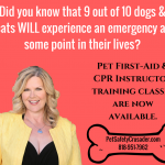 BECOME A PET FIRST AID INSTRUCTOR!