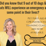 PRODUCT SHARE:  Pet First Aid Kit Items