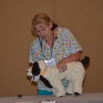 See Additional Classes Under SHOP Tab