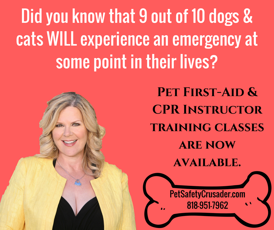 BECOME A PET FIRST AID INSTRUCTOR!