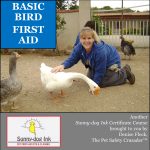 PET FIRST AID (Bird, Rabbit & Pocket Pets) CERTIFICATE COURSES