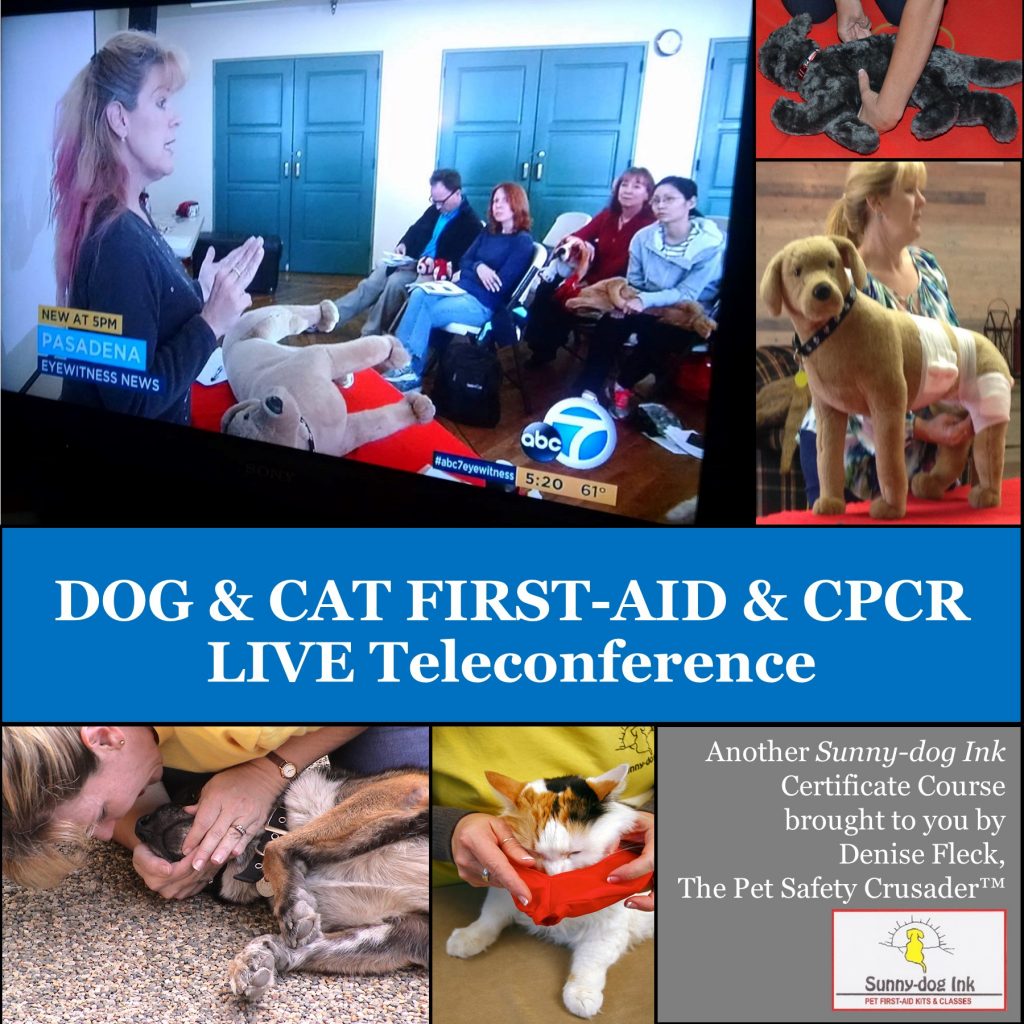 Day #9 Ten Days of Pet Safety Tips: Pet First Aid - Pet Safety Crusader