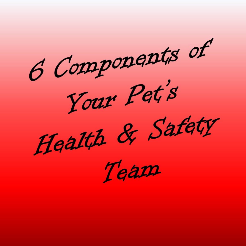 Six Components of Your Pet’s Health & Safety Team (aka their body