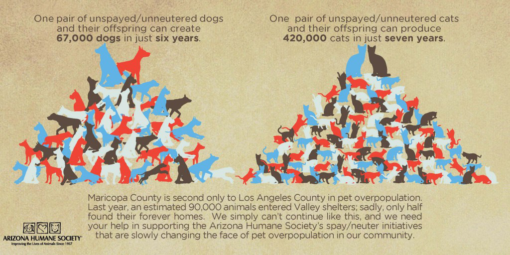 TUESDAY TIP: Spay/Neuter