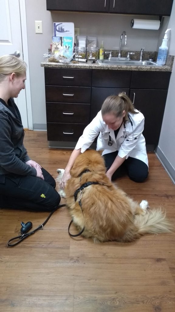 77201258_10220843773752595_2008412551120945152_o