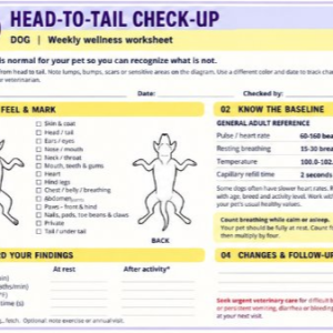 Head-To-Tail Worksheet for Dogs