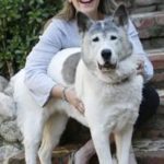 INTERNATIONAL AKITA DAY!