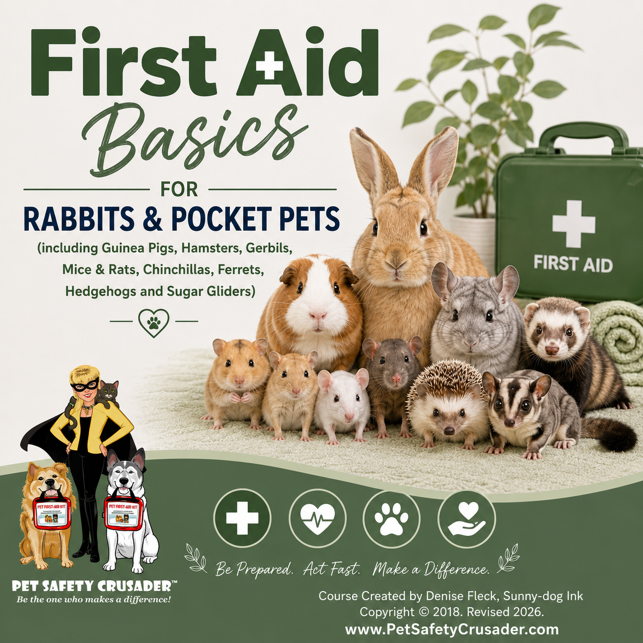 First Aid Basics for Rabbits and Pocket Pets